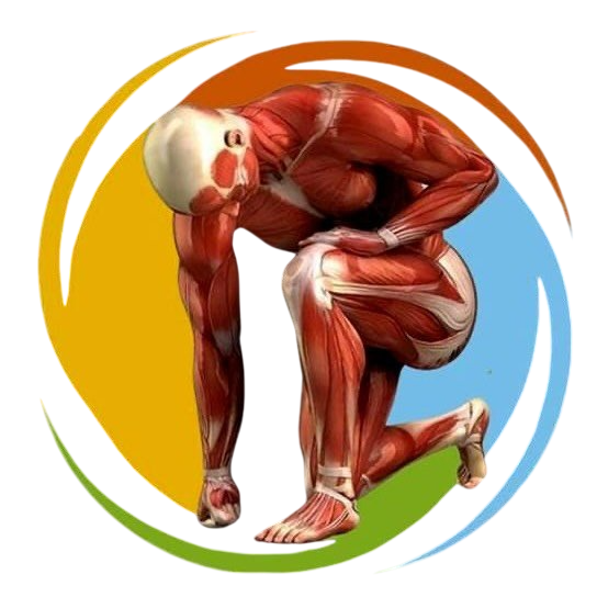 MGMP_PJOK